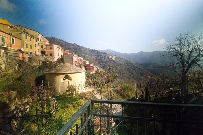 Lievàntu Wine Experience - Why We Think You’ll Love It—and Who Should Consider It