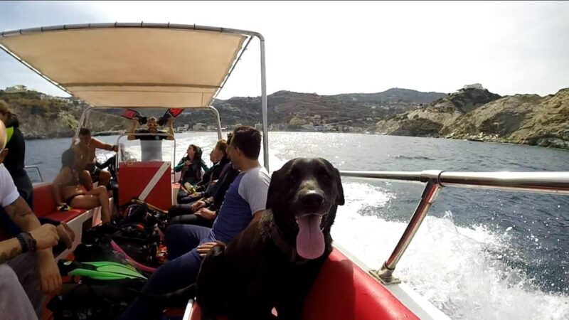Ligaria: Snorkeling trip with Motor Boat around Agia Pelagia - An In-Depth Look at the Experience