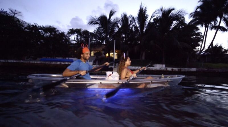 Lighted Clear Kayaks at Night w/ Champagne in Miami Beach - Authentic Insights from Reviews