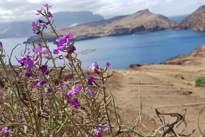 Lighthouse View 3 (Cais do Sardinha, Lighthouse and return to Cais do Sardinha) - What’s Not to Love?
