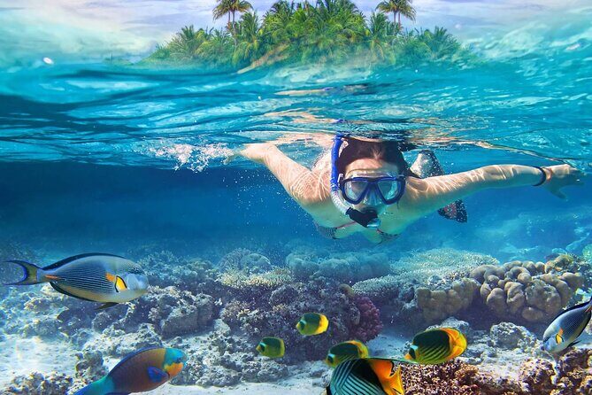 Lihaga Island (white sand island) swimming twice, including lunch and tickets - A Deep Dive into the Lihaga Island Experience