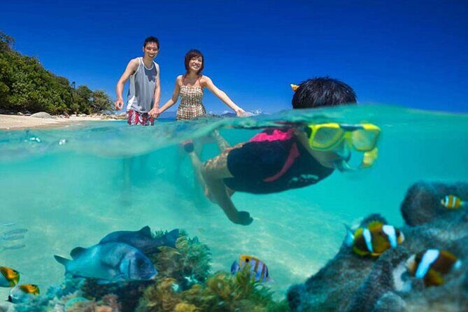 Lihaga Island (white sand island) swimming twice, including lunch and tickets - FAQ