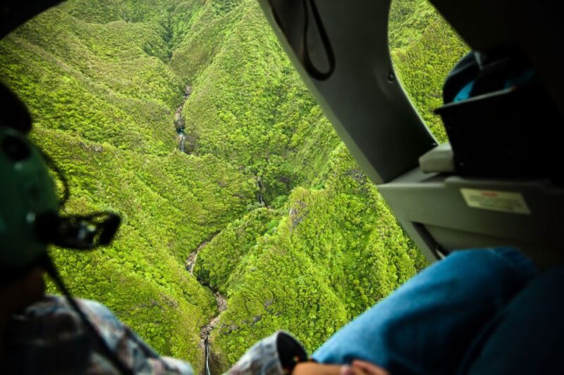 Lihue: Deluxe Waterfall Safari Helicopter Tour - Who Is This Tour Best For?
