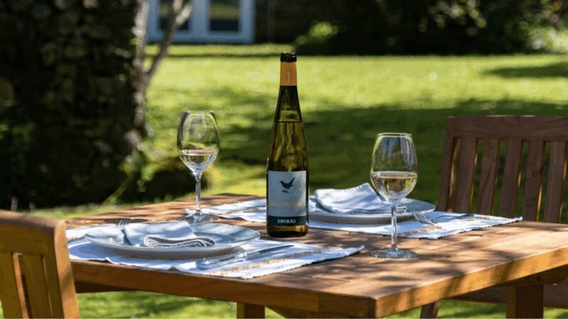 Lima Valley Tour with Wine Tasting and Local Gastronomy - Detailed Review of the Lima Valley Tour