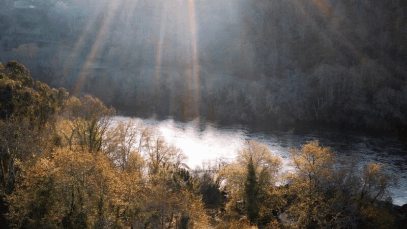 Lima Valley Tour with Wine Tasting and Local Gastronomy - Practical Considerations