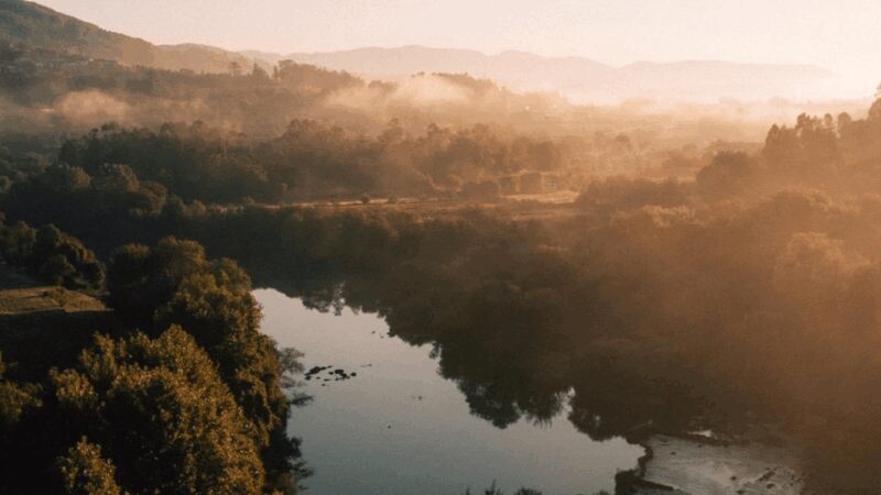 Lima Valley Tour with Wine Tasting and Local Gastronomy - The Sum Up