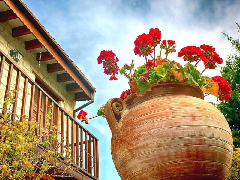 Limassol: Authentic Gourmet Tour with Wine and Food Tasting - FAQ