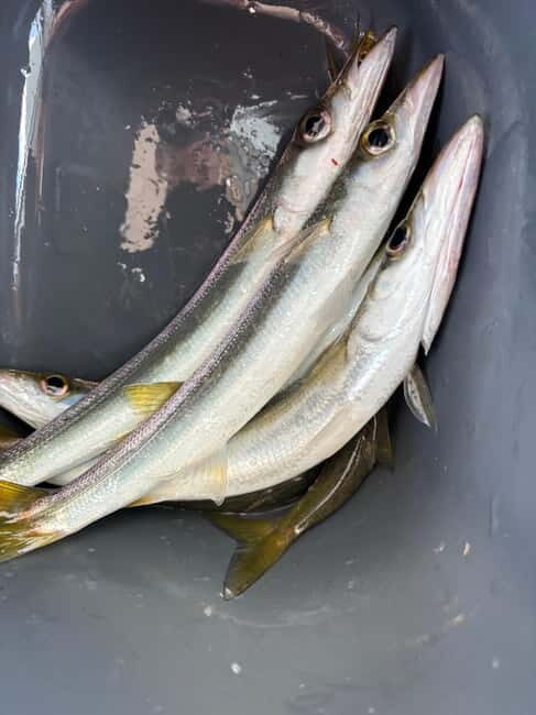 Limassol: Boat trip with swimming stop - Who Is This Tour Best For?