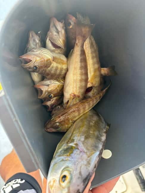 Limassol: Boat trip with swimming stop - Practical Tips for Travelers