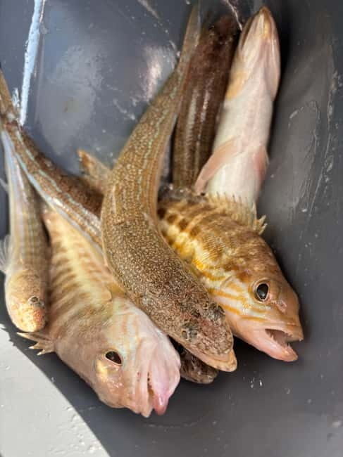 Limassol: Boat trip with swimming stop - Final thoughts