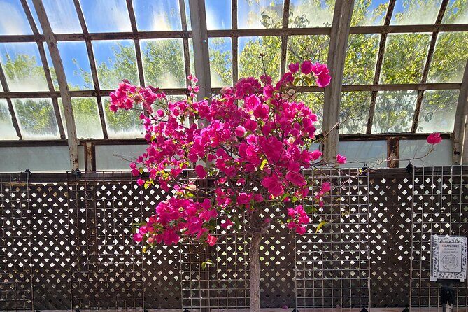 Lincoln Park Nature Museum and Zoo Public Walking Tour - A Closer Look at the Tour Itinerary