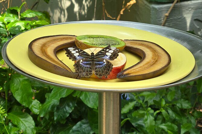 Lincoln Park Nature Museum and Zoo Public Walking Tour - FAQ