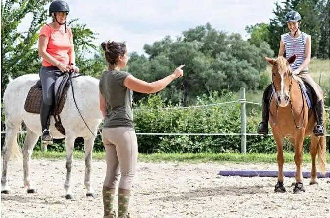 Linda Vista 1 Hour Trail Ride - An In-Depth Look at the Linda Vista 1 Hour Trail Ride