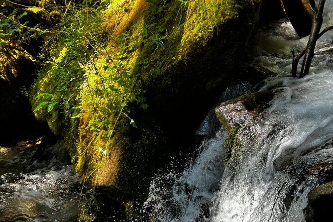 Lindeman and Chilliwack Lakes Sightseeing Tour - The Sum Up: Who Will Love This Tour?