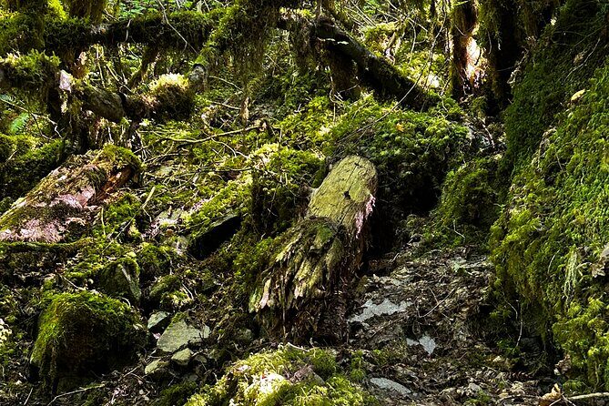 Lindeman and Chilliwack Lakes Sightseeing Tour - Frequently Asked Questions