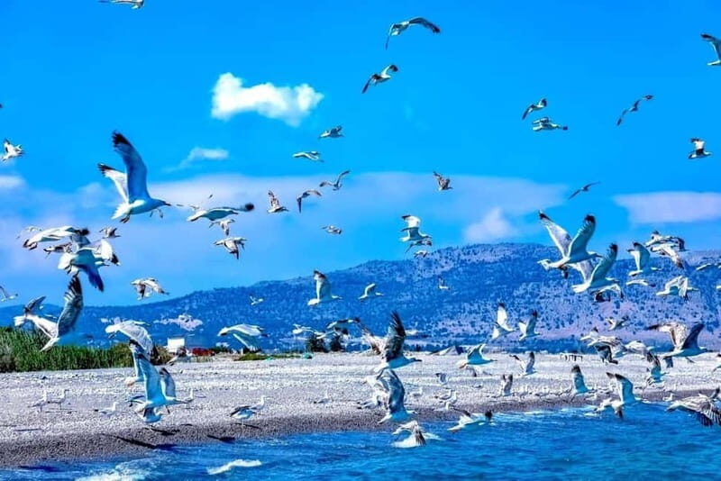 Lindos: 1.5 Hour Glass-Bottom Boat Cruise with Swim Stops - The Itinerary: What to Expect