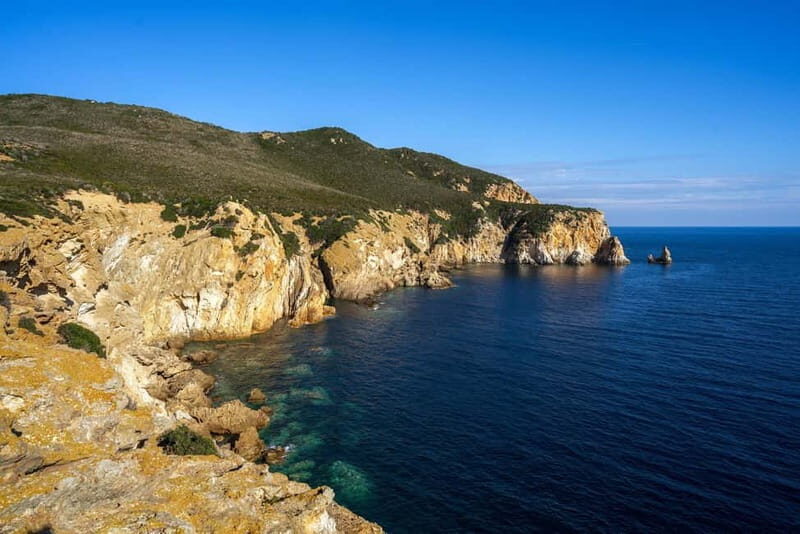 Linea isola di Zannone - Exploring the Zannone Island Boat Tour: A Balance of Nature, History, and Relaxation