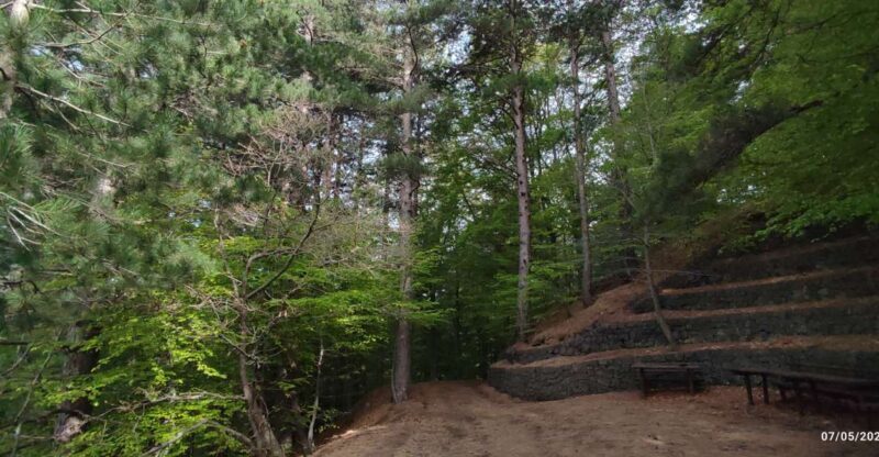 Linguaglossa: North Etna Guided Forest Walking Tour - Key Points