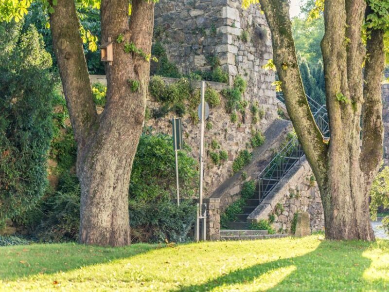 Linz Old Town Highlights Walking Tour with Pöstlingbergbahn - FAQ