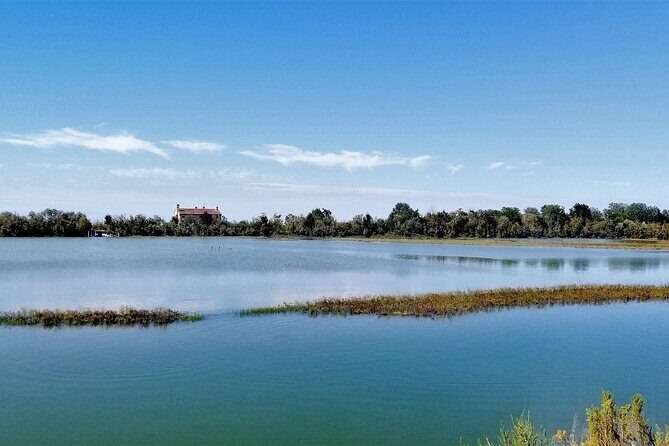 Lio Piccolo: Flamingos & Birdwatching Bike Tour in the Lagoon - Who Will Love This Tour?