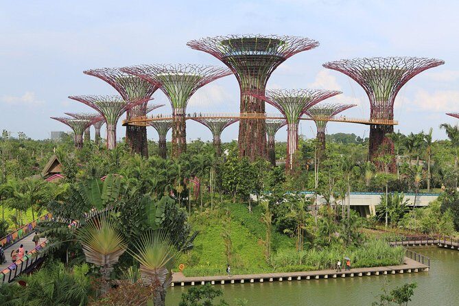 Lion City Night Out + Roundtrip Transfers - Key Points