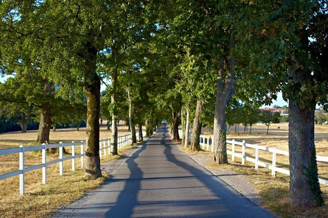 Lipica Stud Farm- Private Experience from Koper - FAQs
