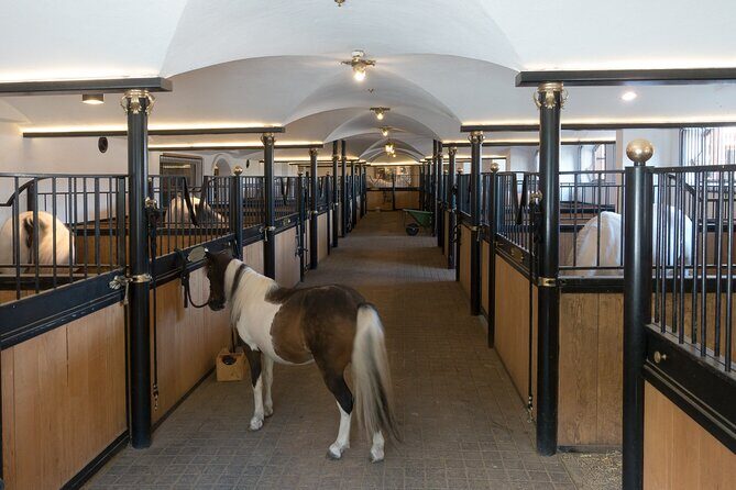 Lipica Stud Farm & Skocjan Caves - Small Group Tour from Koper - What’s Included and What’s Not