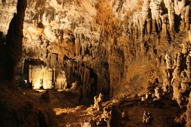 Lipica Stud Farm & Skocjan Caves - Small Group Tour from Koper - The Sum Up
