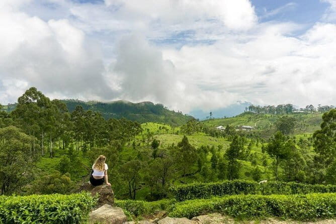 Lipton's Seat and Dambatenna Tea Factory Day Tour From Ella - The Sum Up