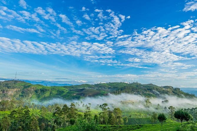 Lipton's Seat and Tea Factory,Trail Amidst Tea Plantation Day Tour - Key Points