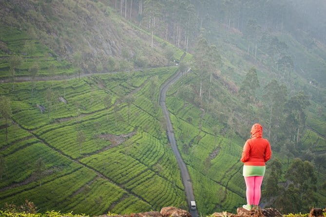 Lipton's Seat and Tea Factory,Trail Amidst Tea Plantation Day Tour - Transportation & Timing