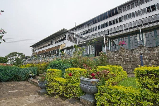 Lipton's Seat and Tea Factory,Trail Amidst Tea Plantation Day Tour - The Sum Up