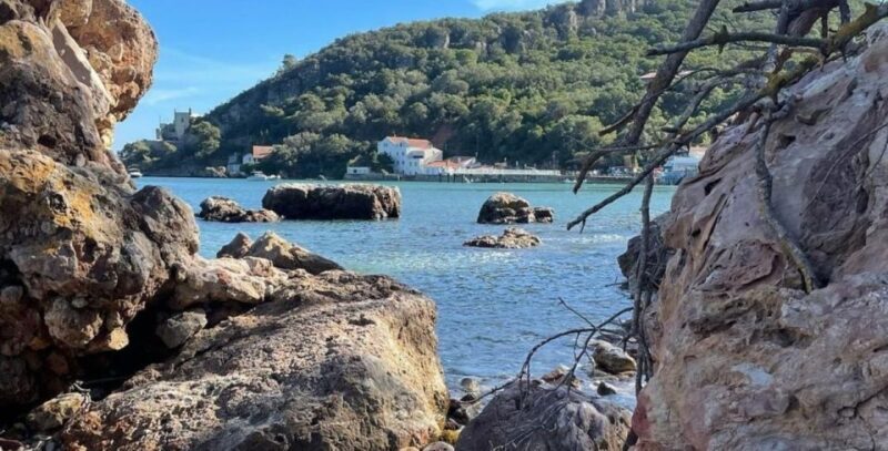 Lisboa: Setúbal, Arrábida & Azeitão Tour, with Wine Tasting! - Authentic Experiences and Insights from Reviews