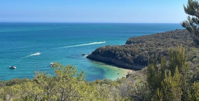 Lisboa: Setúbal, Arrábida & Azeitão Tour, with Wine Tasting! - The Sum Up