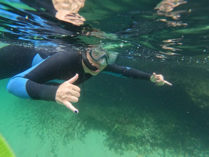 Lisboa: Snorkeling experience in Marine Reserve with photos - FAQs