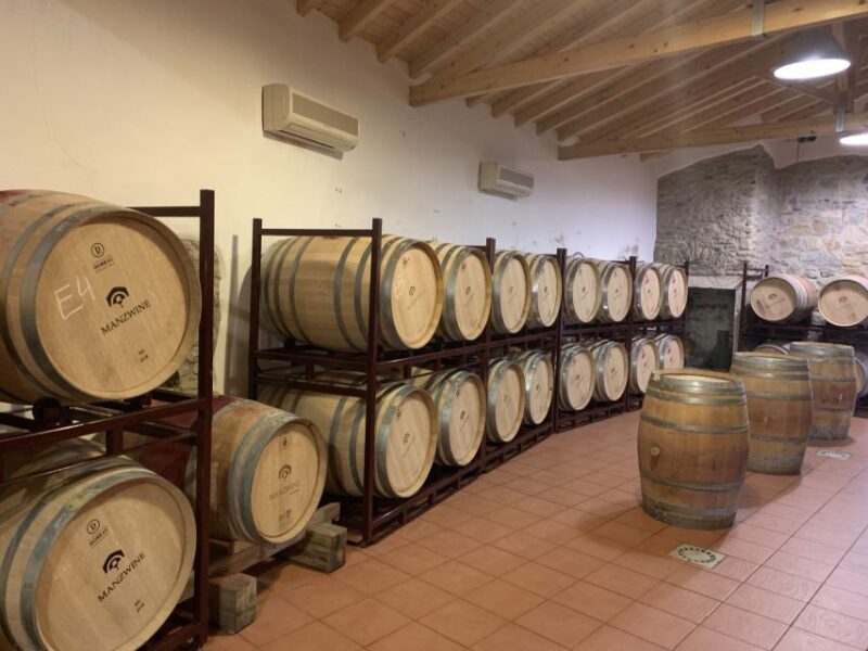 Lisbon Area Wine Tour - Who Will Love This Tour?