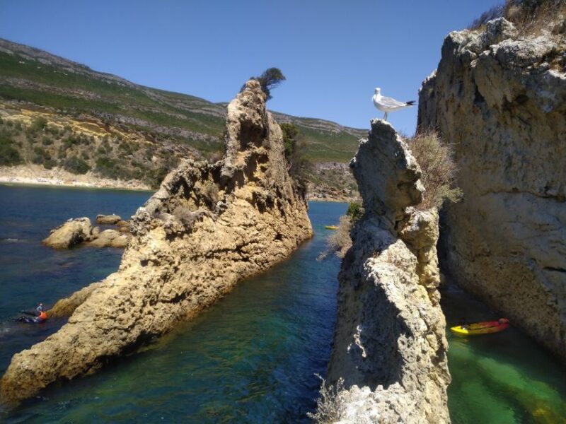 Lisbon: Arrábida Kayak and Coasteering Adventure Tour - FAQ