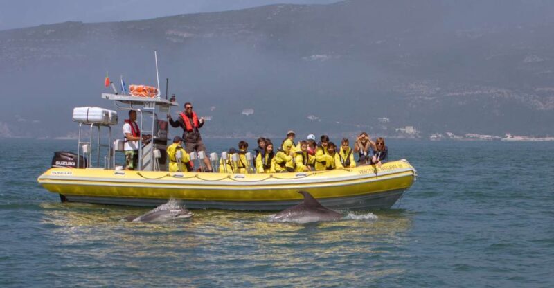 Lisbon: Arrábida Natural Park Dolphin Watching Boat Tour - Who Will Enjoy This Tour?