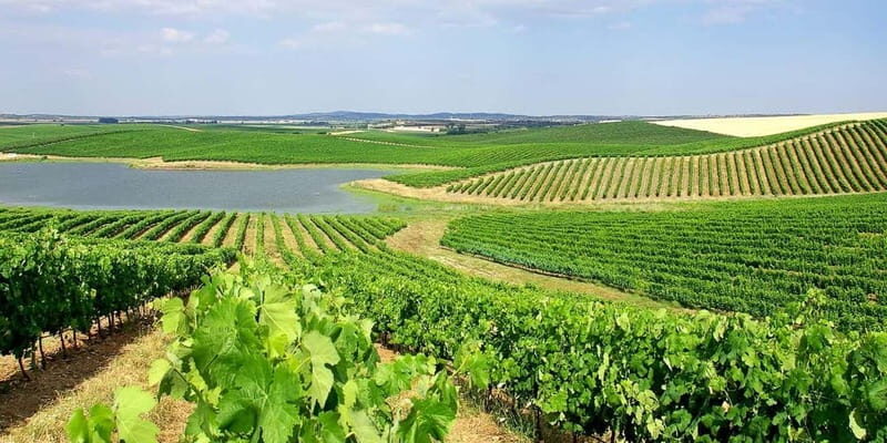 Lisbon: Arrábida Natural Park, Setúbal, and Azeitão Day Trip - Who Should Consider This Tour?