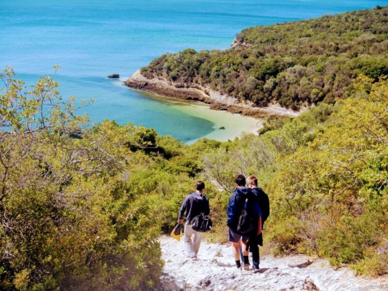 Lisbon: Arrábida Snorkeling Adventure - An In-Depth Look at the Tour Experience