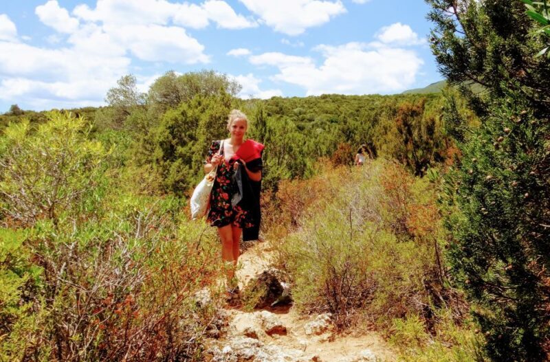 Lisbon: Arrábida Snorkeling Adventure - The Reviews Say It All