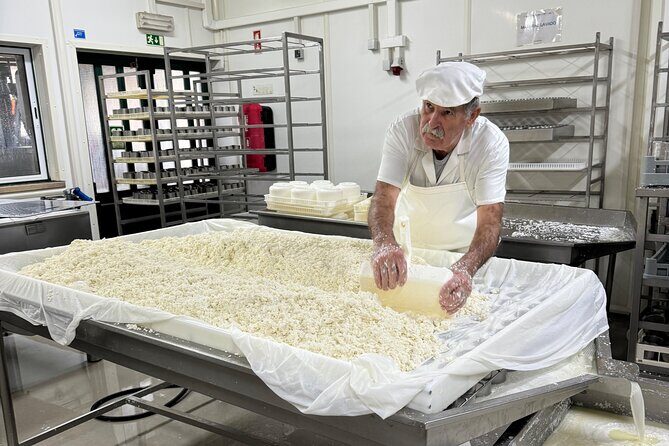 Lisbon Cheese Factory Visit, Wine Tasting and Tile Painting Tour - The Practicalities: What You Need to Know