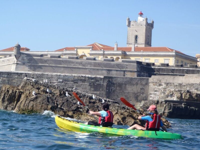 Lisbon: Coast Guided Kayak Tour - Key Points