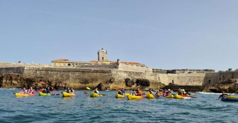 Lisbon: Coast Guided Kayak Tour - A Closer Look at the Kayaking Experience