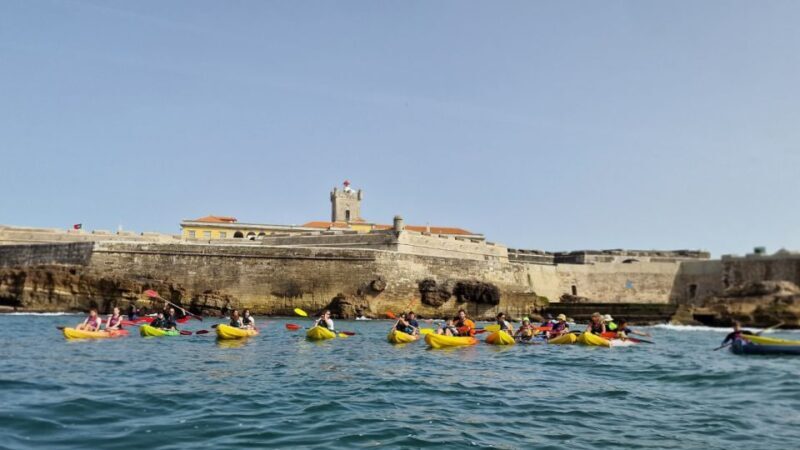 Lisbon: Coast Guided Kayak Tour - Whats Included and What to Bring
