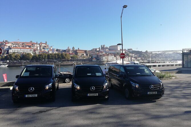 Lisbon Cruise Port Private Transfer to/from Lisbon Airport - Who Is This Transfer Best For?