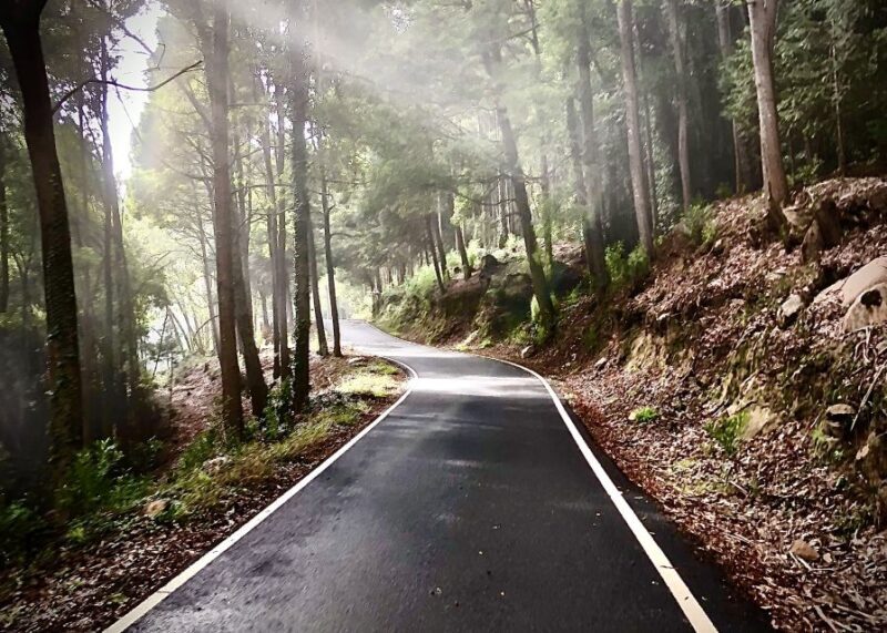 Lisbon: E-bike Trip from the Sintra Mountains to Cascais Sea - FAQ