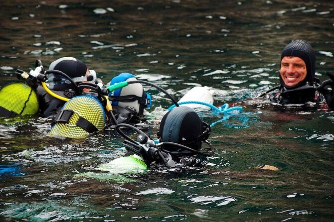 Lisbon Eco-Try Dive - Diving Baptism - Authentic Feedback & Insights from Reviewers