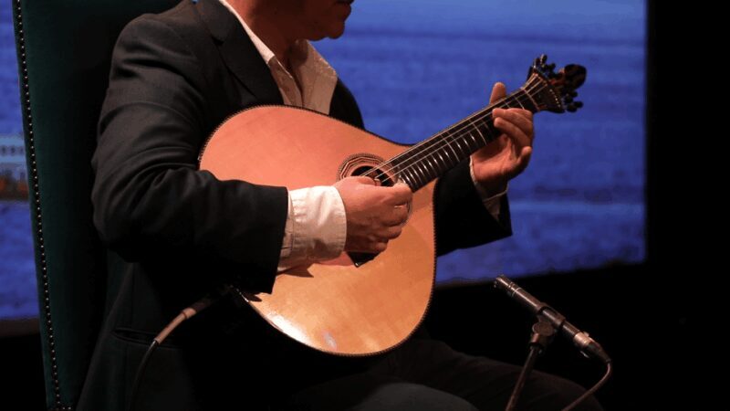 Lisbon: Fado in Chiado Live Show - A Closer Look at the Fado in Chiado Experience