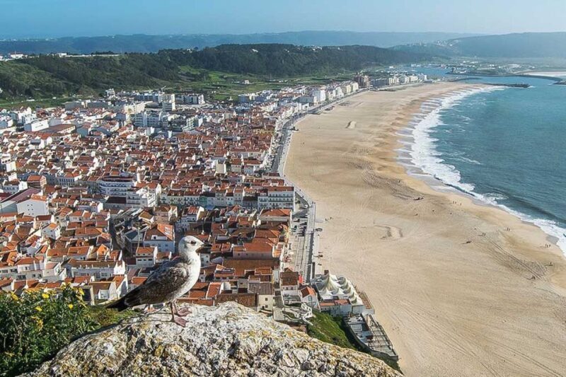 Lisbon: Fátima, Nazaré, and Óbidos Private Tour - An In-Depth Look at the Tour Experience